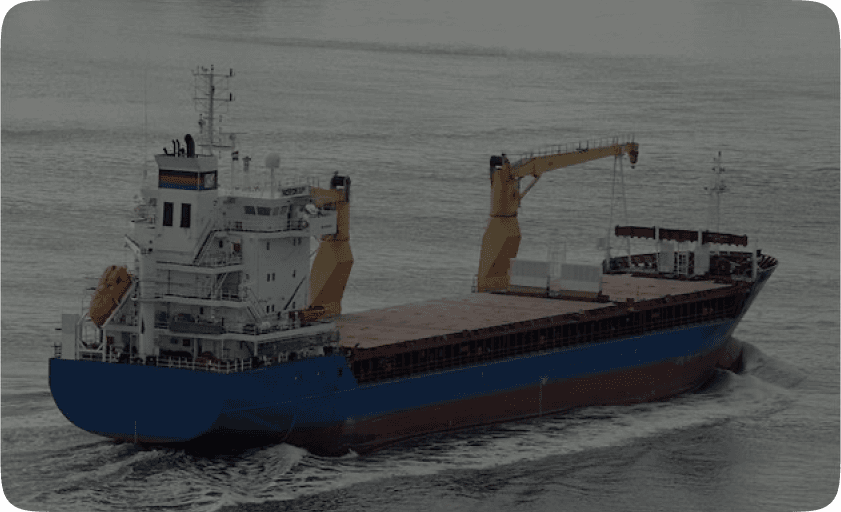 Breakbulk & Bulk Shipping